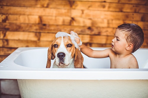 Affordable Indoor Air Quality Testing